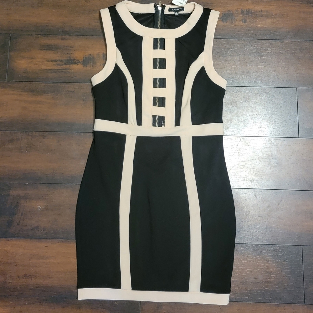 NWT Entry Short Fitted Dress